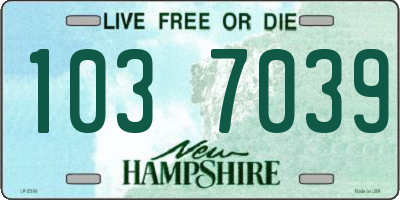 NH license plate 1037039