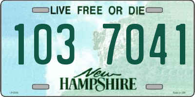 NH license plate 1037041