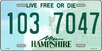 NH license plate 1037047