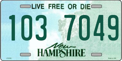 NH license plate 1037049