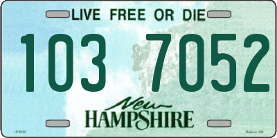 NH license plate 1037052