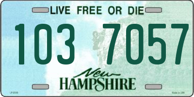NH license plate 1037057