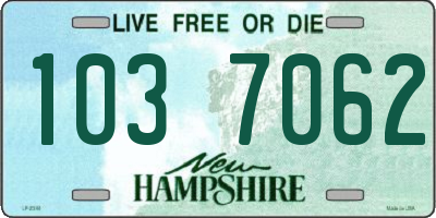 NH license plate 1037062