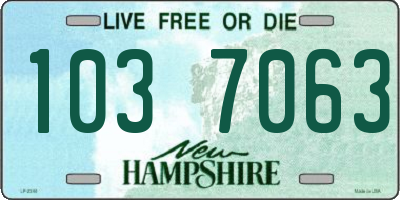 NH license plate 1037063