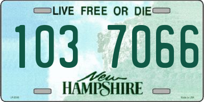 NH license plate 1037066