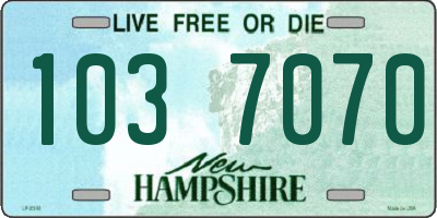 NH license plate 1037070