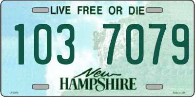 NH license plate 1037079