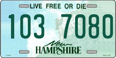 NH license plate 1037080