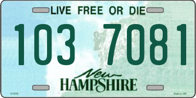 NH license plate 1037081