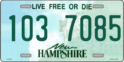 NH license plate 1037085