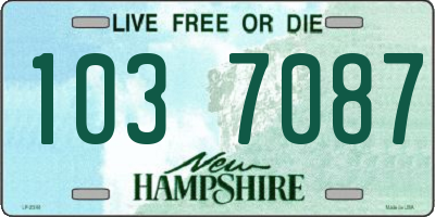 NH license plate 1037087