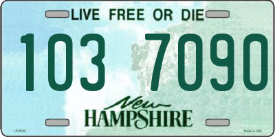 NH license plate 1037090