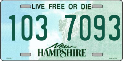 NH license plate 1037093