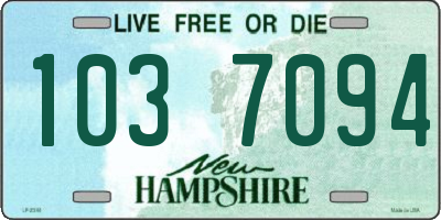 NH license plate 1037094
