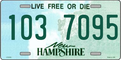 NH license plate 1037095