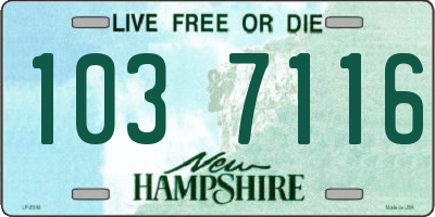 NH license plate 1037116