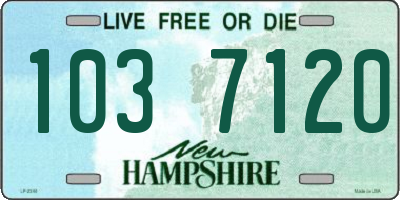 NH license plate 1037120