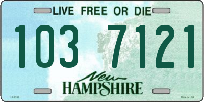 NH license plate 1037121