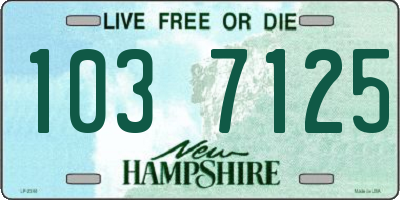 NH license plate 1037125