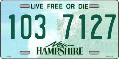 NH license plate 1037127