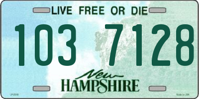 NH license plate 1037128