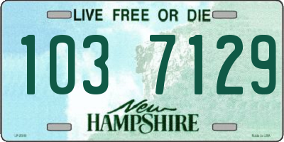 NH license plate 1037129