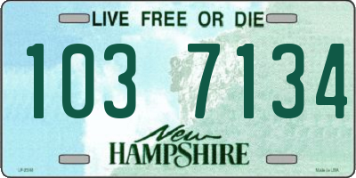 NH license plate 1037134