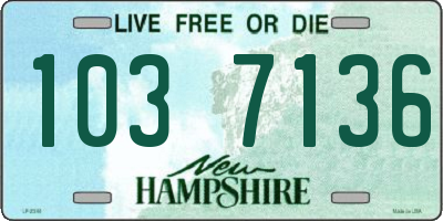 NH license plate 1037136