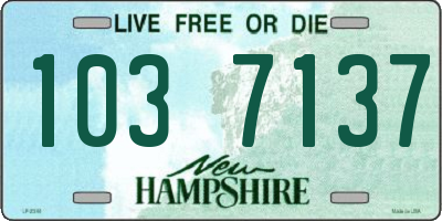 NH license plate 1037137