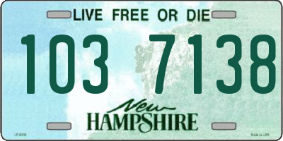 NH license plate 1037138