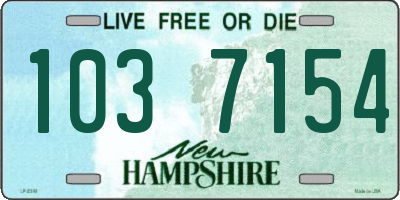 NH license plate 1037154
