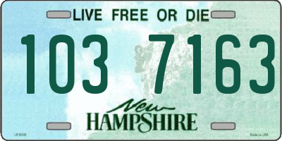 NH license plate 1037163