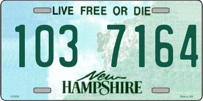 NH license plate 1037164