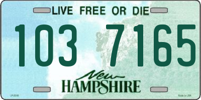 NH license plate 1037165