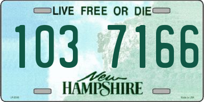 NH license plate 1037166