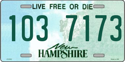 NH license plate 1037173