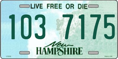 NH license plate 1037175