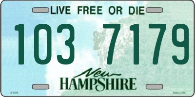 NH license plate 1037179