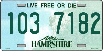 NH license plate 1037182