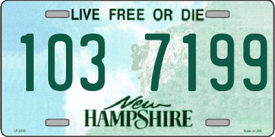 NH license plate 1037199