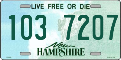 NH license plate 1037207