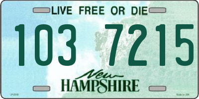 NH license plate 1037215