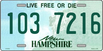 NH license plate 1037216