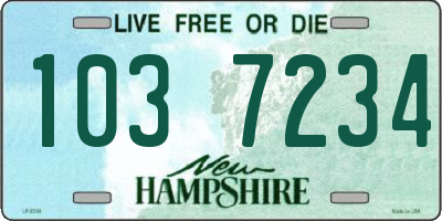 NH license plate 1037234