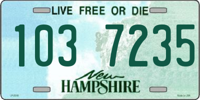 NH license plate 1037235