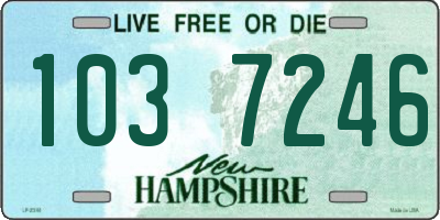 NH license plate 1037246