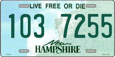 NH license plate 1037255
