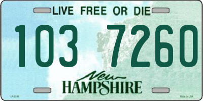 NH license plate 1037260