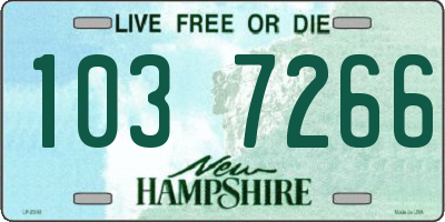 NH license plate 1037266