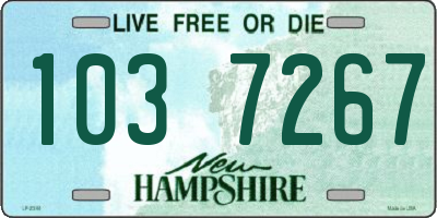 NH license plate 1037267